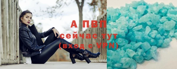 шишки Сатка